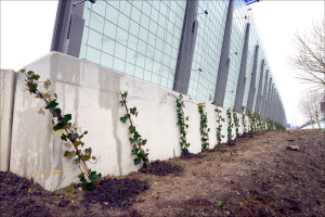 Geluidscherm beplanting
