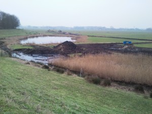BOBM-polder, april 2015, plassen, hooiland